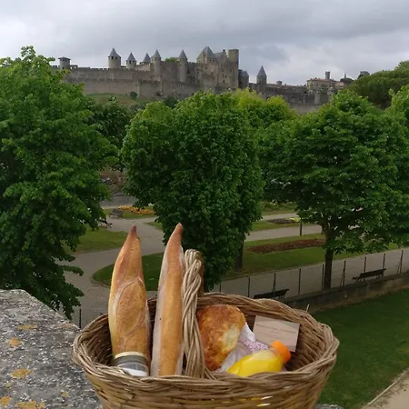 La Brocante De Paul ! Avec Piscine, Jardin, Et Parking Prives ! *