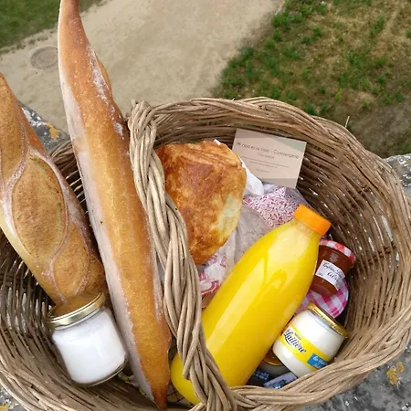 La Brocante De Paul ! Avec Piscine, Jardin, Et Parking Prives ! Villa Carcassonne
